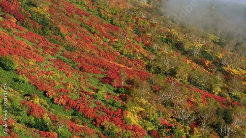 Autumn colors on mountainside, Ginsendai, Kamikawa, Hokkaido, Japan photo