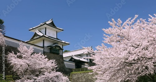 Low angle shot of Kanazawa Castle in spring