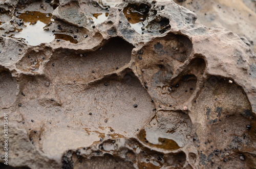 texture of stone