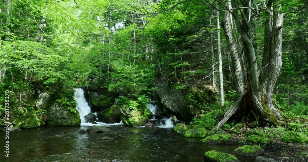 Akan River and small waterfall in forest, Kushiro, Hokkaido, Japan Akan River and small waterfall in forest, Kushiro, Hokkaido, Japan
