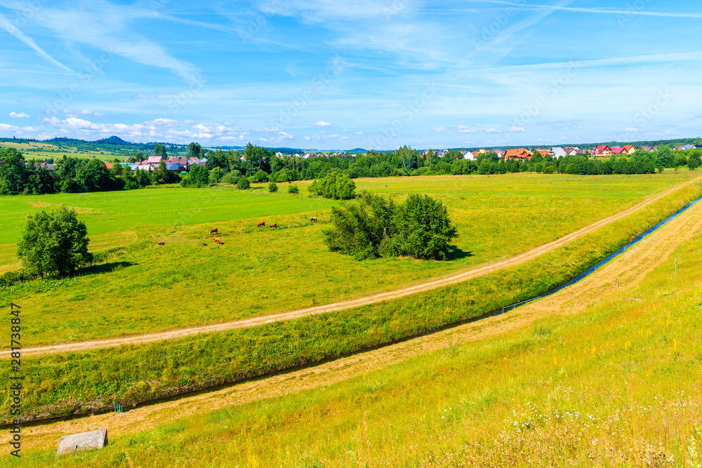 Green countryside landscape in Frydman village in Pieniny Mountains near Czorsztynskie lake on sunny summer day, Poland