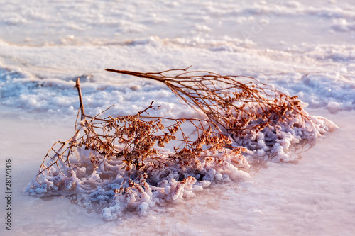 Wallpaper Mural  salt absorption Torontodigital.ca