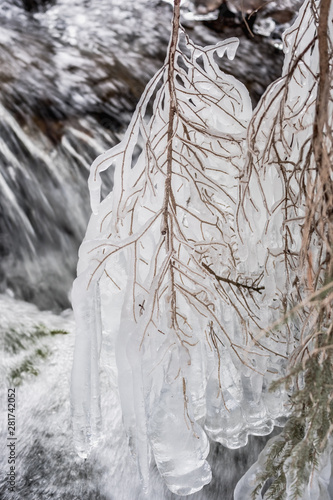 Wallpaper Mural  frozen tree Torontodigital.ca