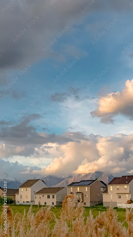 Vertical Homes amid a vast field with snow capped mountain background under a cloudy sky