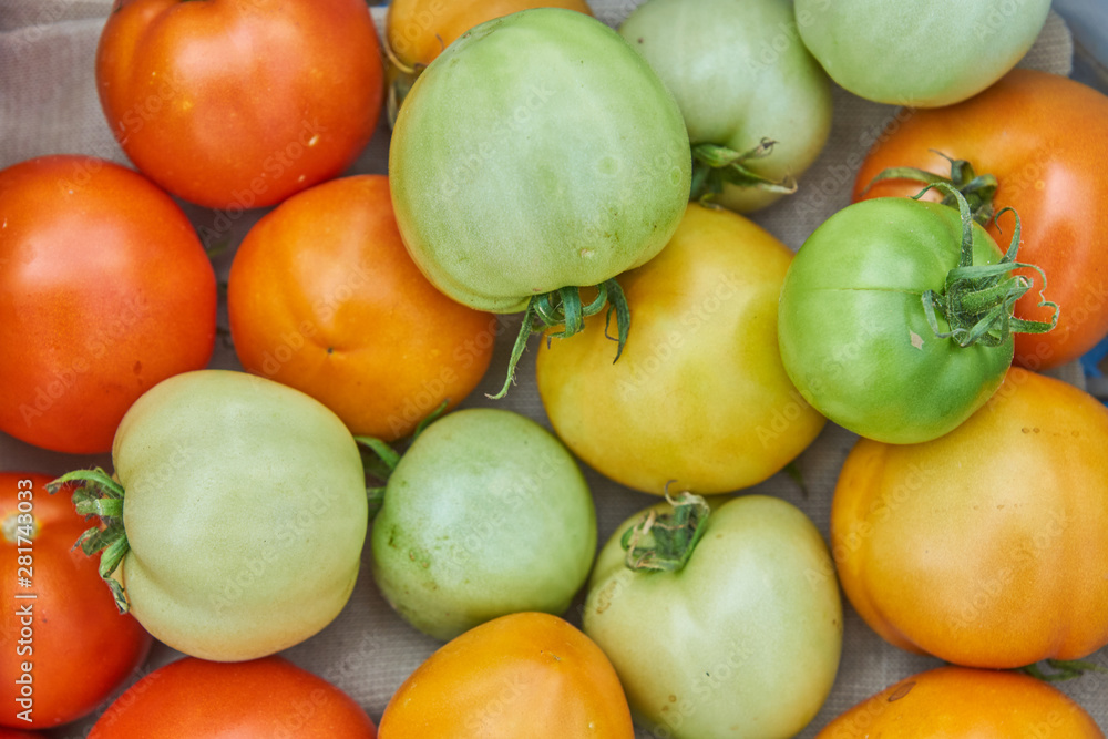 Fresh harvest of organic tomatoes in a box. New crop of tasty vegetables just picked in a plastic container Fresh harvest of organic tomatoes in a box. New crop of tasty vegetables just picked in a plastic container