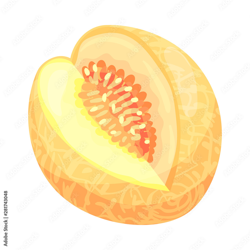 Melon with the cut out part of the fourth. Vector illustration on white background. Melon with the cut out part of the fourth. Vector illustration on white background.