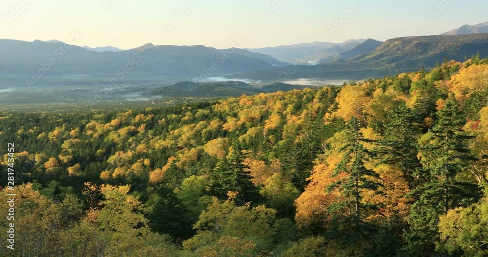 View of autumn forest, Kamishihoro, Hokkaido, Japan View of autumn forest, Kamishihoro, Hokkaido, Japan