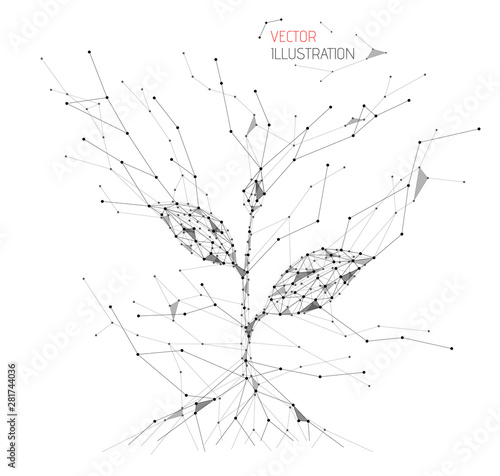 Seedling grow. Dots and lines connected. Growth. Isolated black vector illustration in low poly style. Abstract particle explosion.
