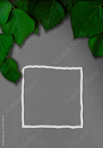 Glay Background With Green Leaves Background Material Message Board Etc Created In Poster Size 緑色の葉と灰色の背景素材 背景素材 メッセージボードなど ポスターサイズで作成 Stock Photo Adobe Stock Glay Background With Green Leaves Background Material Message Board Etc Created In Poster Size 緑色の葉と灰色の背景素材 背景素材 メッセージボードなど ポスターサイズで作成 Stock Photo Adobe Stock