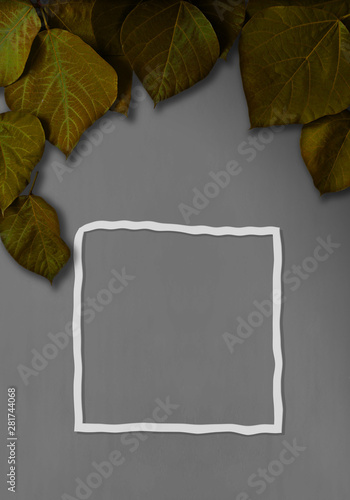 62 Best グレイ背景 Images Stock Photos Vectors Adobe Stock