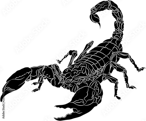 Scorpion isolated on white background
