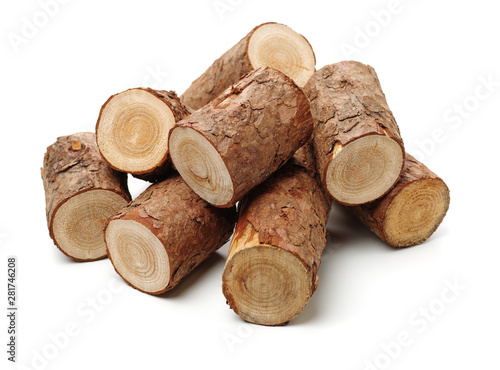 Pine logs on white background