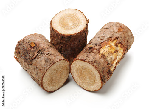 Pine logs on white background