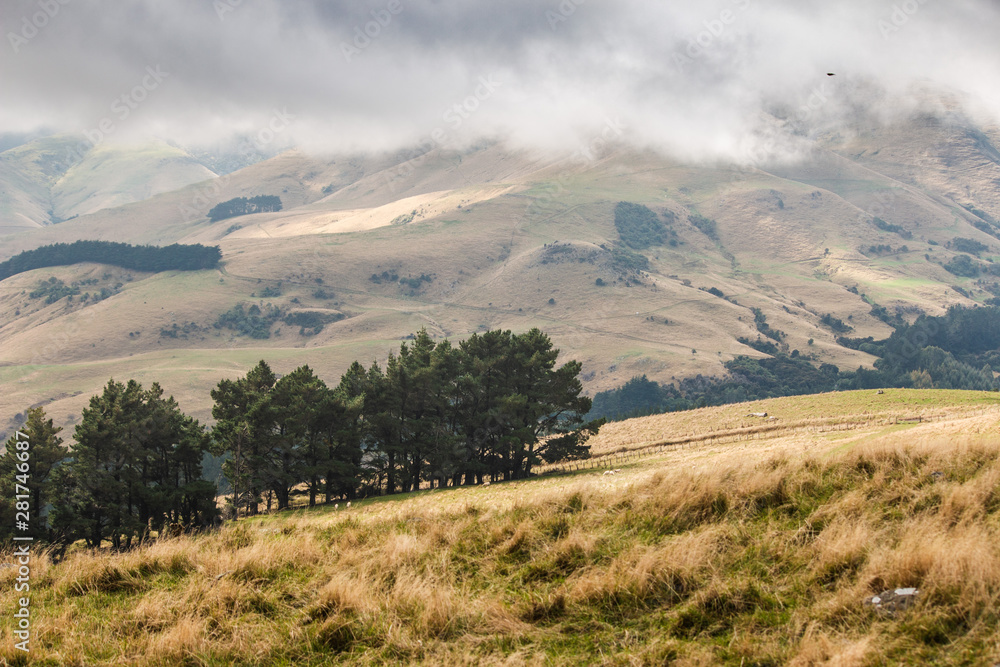 Hill Landscape With Trees, Akaroa New Zealand, 