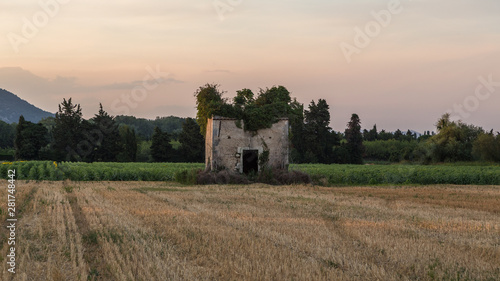 shed in a wheat field in Drôme provençale