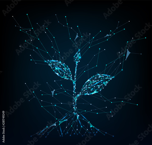 Seedling. Low poly blue. Polygonal growth or health illustration. In the form of a starry sky or space. Abstract particle explosion.