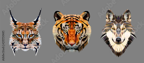 Low poly triangular tiger, lynx and wolf heads on grey background, vector illustration isolated.  Polygonal style trendy modern logo design. Suitable for printing on a t-shirt.