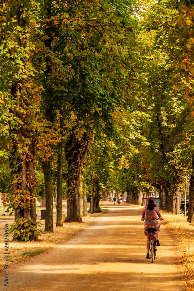 Frau auf Fahrrad in Allee