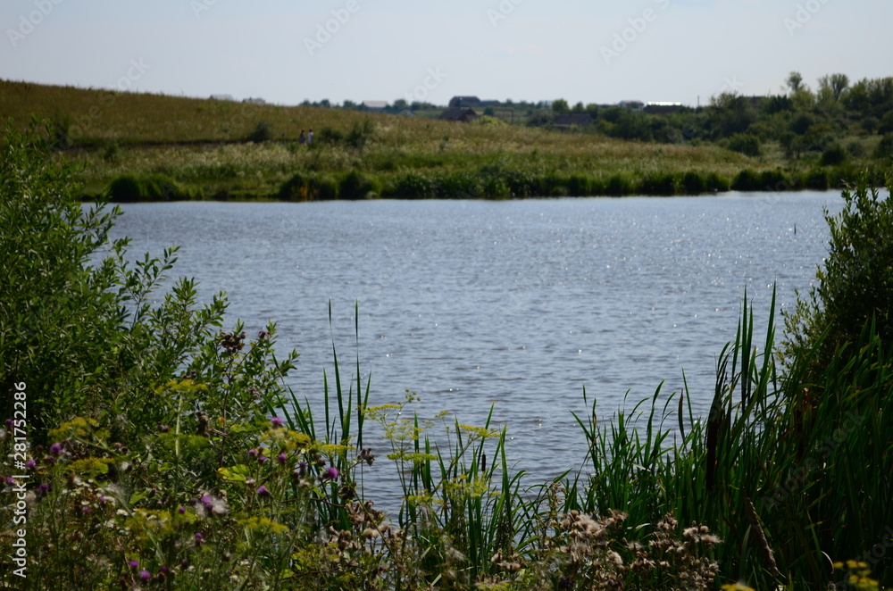 Summer landscape with lake in the field and blue sky.