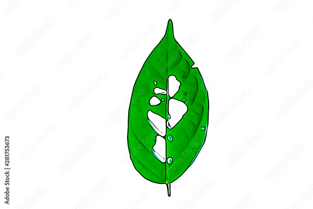 Green Leaves, Green leaf isolated on white background, Green Leaves, Green leaf isolated on white background,
