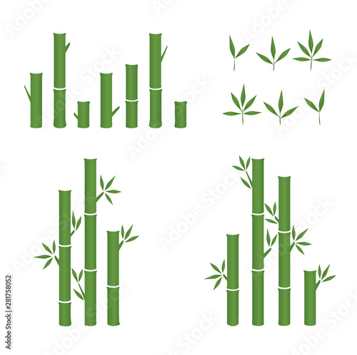 Fototapeta Naklejka Na Ścianę i Meble -  vector leaf green and bamboo shoot icon set.