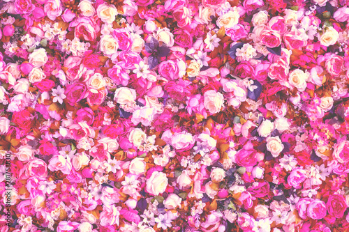 Fototapeta Naklejka Na Ścianę i Meble -  Peonies Flowers Background. Colorful background. Many flowers.