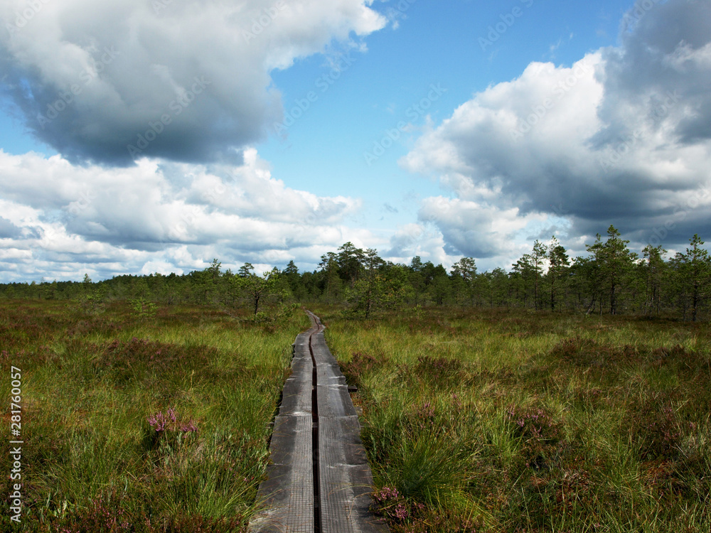 colorful view of the bog with white clouds and wooden footbridge, Latvia