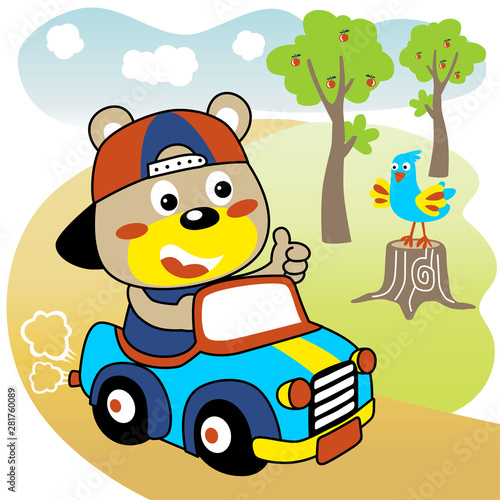 vector cartoon of cute bear driving car
