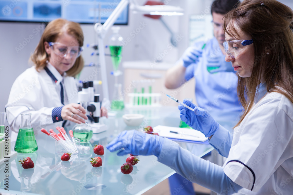 Side view middle age female scientist doing test on strawberries in a research lab Side view middle age female scientist doing test on strawberries in a research lab