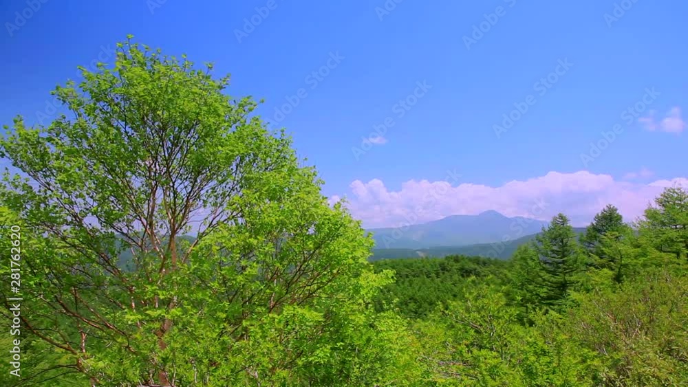 View of mountains and trees, Nagawa, Nagano Prefecture, Japan View of mountains and trees, Nagawa, Nagano Prefecture, Japan