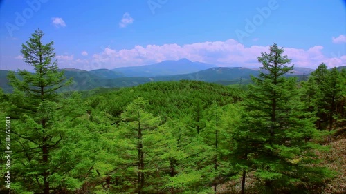 View of mountains and trees, Nagawa, Nagano Prefecture, Japan photo