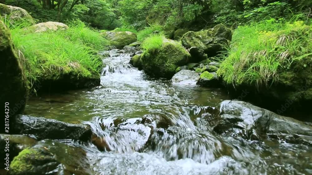 Landscape with stream in forest, Okutama, Tokyo, Japan Landscape with stream in forest, Okutama, Tokyo, Japan