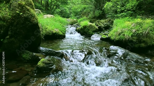 Landscape with stream in forest, Okutama, Tokyo, Japan photo