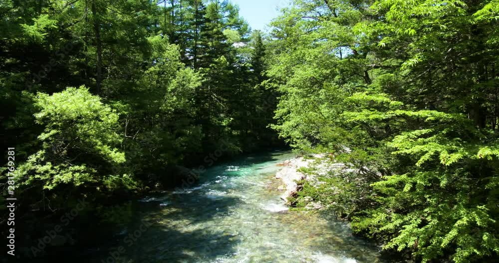 River and trees, Kamikochi Valley, Matsumoto, Nagano Prefecture River and trees, Kamikochi Valley, Matsumoto, Nagano Prefecture