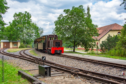 Fototapeta Naklejka Na Ścianę i Meble -  Narrow-gauge railway Bad Muskau Oberlausitz Germany 