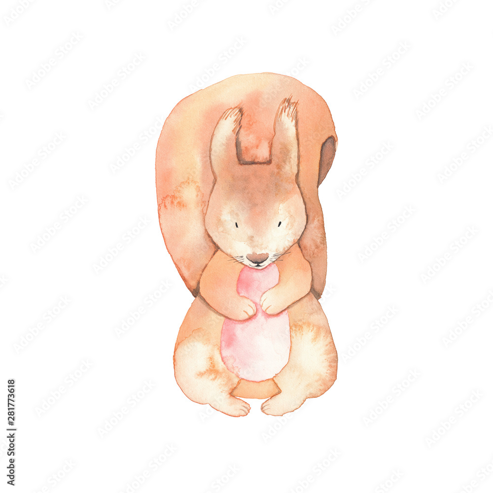 Fototapeta premium Watercolor Squirrel Animals Isolated On A White Background Hand Drawn Illustration