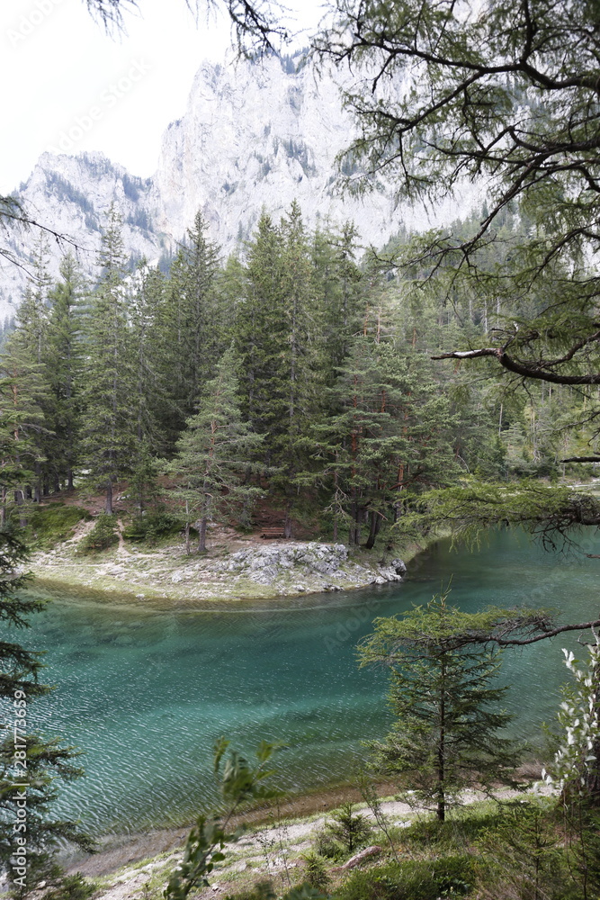 mountains and coniferous trees on the shore of a Green lake, Austria