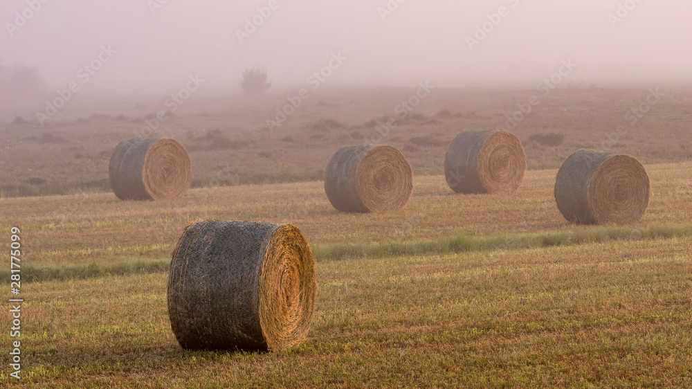 Group of hay bales in the early morning fog lit by the light of dawn on a new day