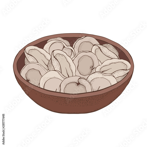 Plate of dumplings. Cartoon hand drawn Ravioli. Vareniki. Pelmeni. Meat dumplings. Food. Cooking. National dishes. Products from the dough and meat isilated on white