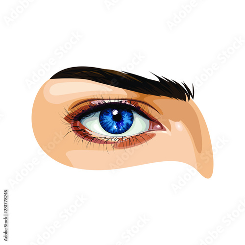 vector Realistic blue eye with eyelashes on white background