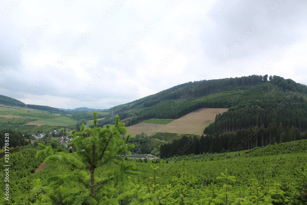 Fototapeta premium Landschaft