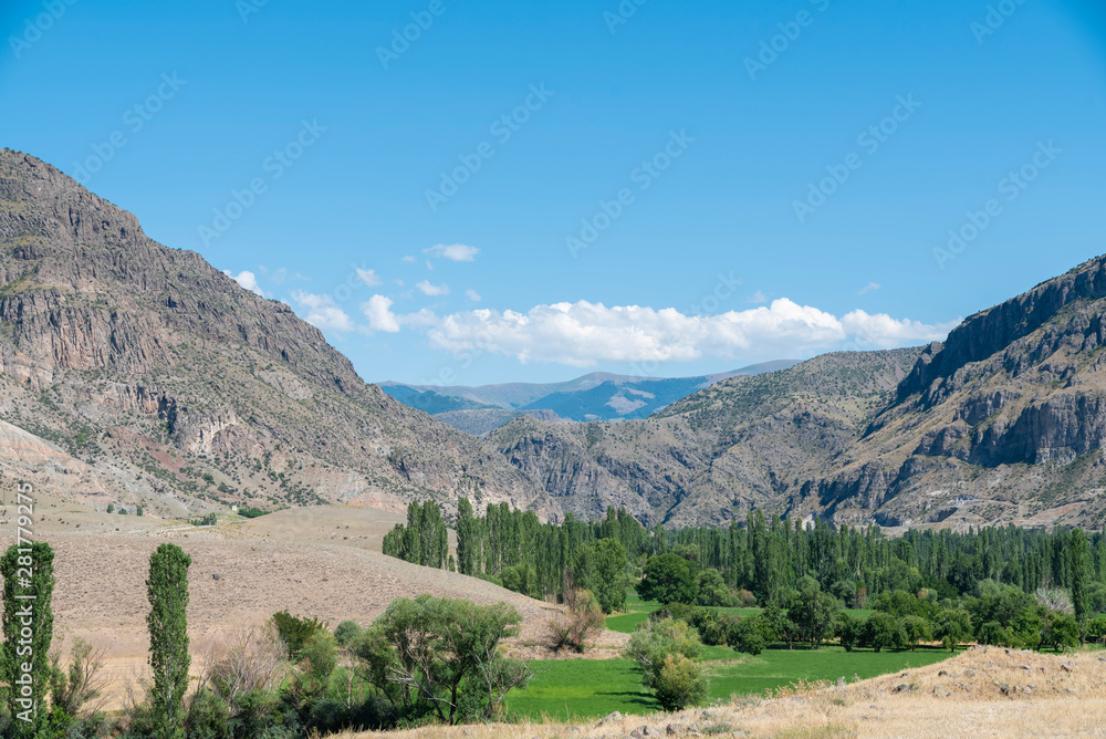 Beautiful panoramic view on the valley  with green field trees and mountains.