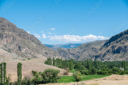 Beautiful panoramic view on the valley with green field trees and mountains.