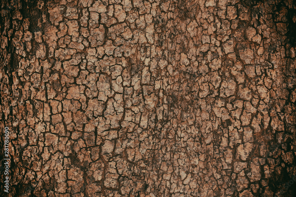 Naklejka premium brown bark. may used as background.