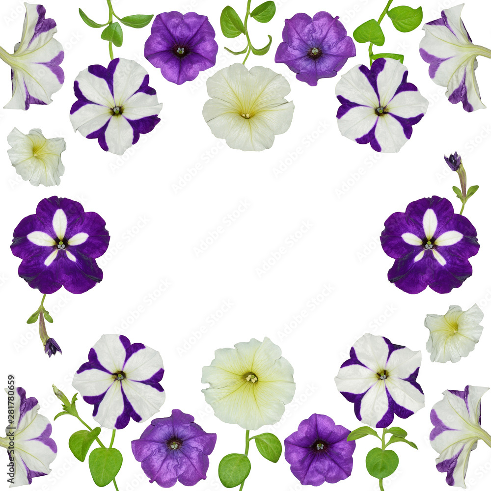 Purple and white petunia flower frame border for your invitation and thank you card, birthday and celebration postcard design