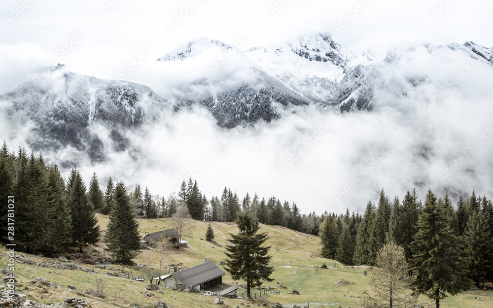 The cold autum in the swiss alps