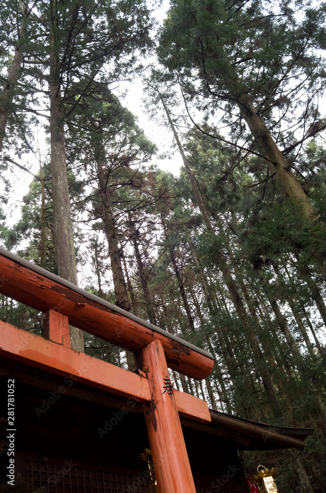 torii, shrine gates torii, shrine gates