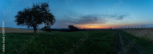 Panorama Waldrand in der Abendd  mmerung