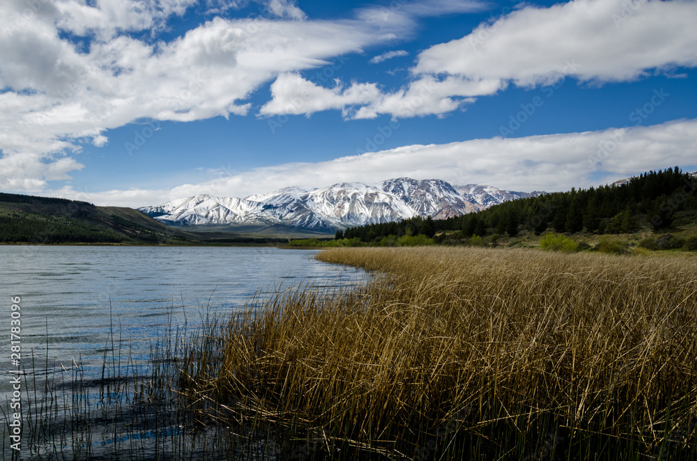 Patagonian landscape of lake with snowy mountains and forest