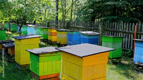 Beehives in sunny day in summer garden, Poland